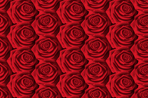BachelorTrivia
